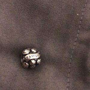 Pandora family love charm